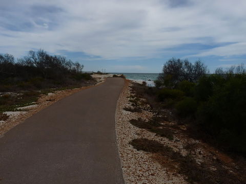 Turquoise Way Trail, Jurien Bay - Accommodation ACT 0