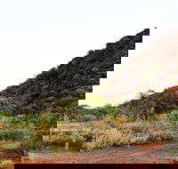 Whyalla Conservation Park - Accommodation ACT