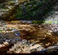 Wilson River picnic area - Accommodation ACT