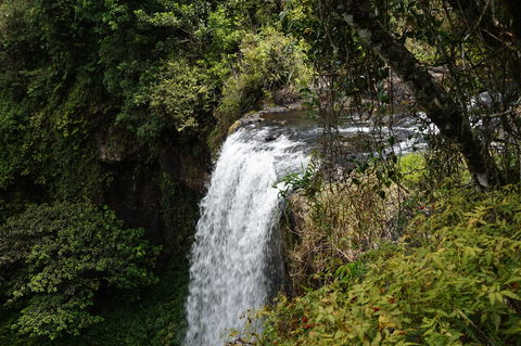 Zillie Falls - Accommodation ACT 0