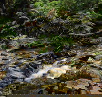 Budderoo National Park - Accommodation ACT