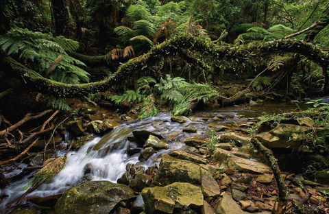 Budderoo National Park - Accommodation ACT 0