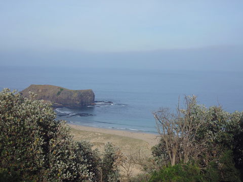 Bushrangers Bay - Accommodation ACT 0