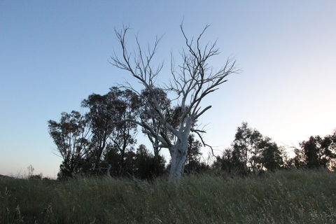 Cooleman Ridge - Accommodation ACT 1
