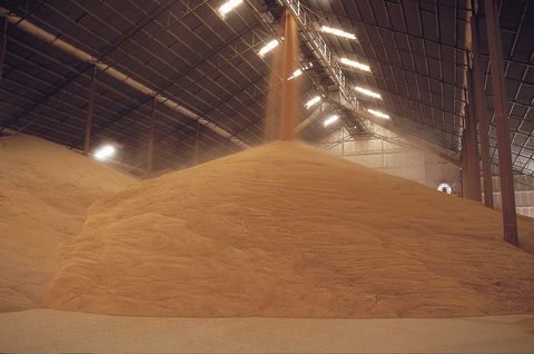 Co-operative Bulk Handling (CBH) Wheat Storage And Transfer Depot - Accommodation ACT 2