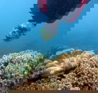 Geoffrey Bay Snorkel Trail - Accommodation ACT