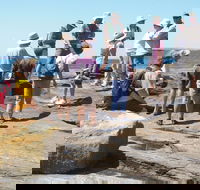Gondwana Coast Fossil Walk - Accommodation ACT