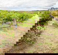 Grove Estate Wines - Accommodation ACT