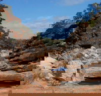 Homestead Gorge trail - Accommodation ACT