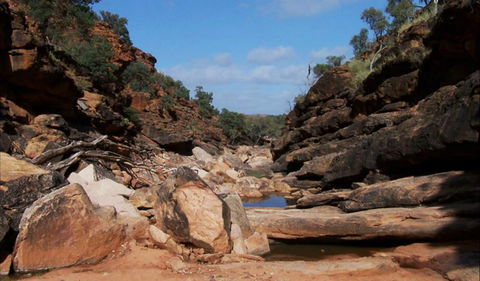 Homestead Gorge Trail - Accommodation ACT 0