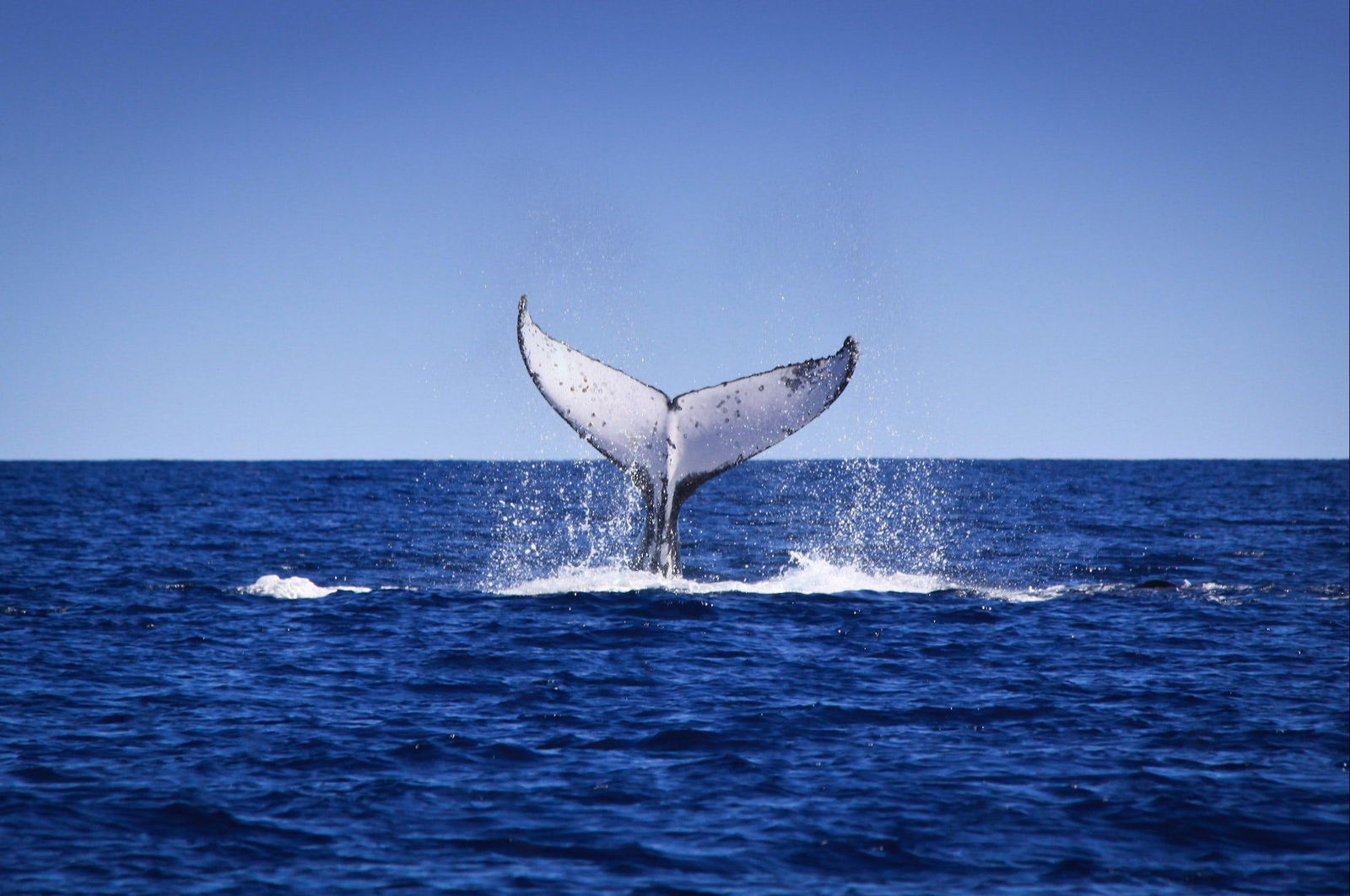 Exmouth Gulf WA Accommodation ACT