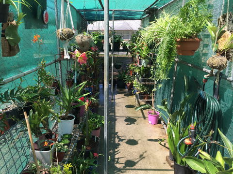 Kilcoy Craft Market - Accommodation ACT 1