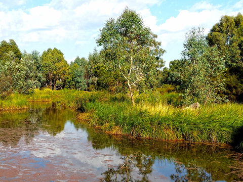 Mansfield Mullum Wetlands - Accommodation ACT 0