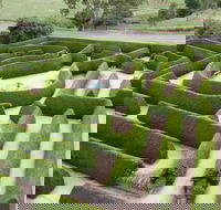 Mintaro Maze - Accommodation ACT