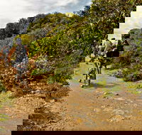 Mountain Biking Trails - Accommodation ACT