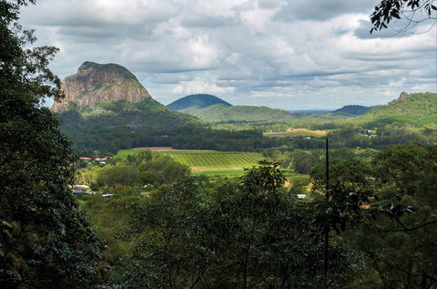 Mount Ngungun Summit Walking Track, Glass House Mountains National Park - Accommodation ACT 1