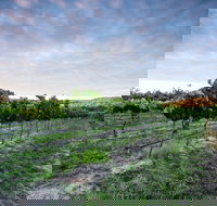 Nature and Foodies Trail - Accommodation ACT