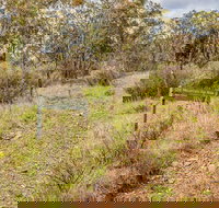 Old Mountain Road Walking Track - Accommodation ACT