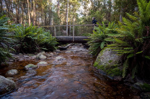 O'Neills Creek Picnic Reserve - Accommodation ACT 0