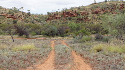 Original Glen Helen Homestead - Accommodation ACT 0