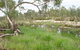 Original Glen Helen Homestead - thumb 2