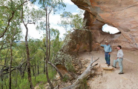 Pilliga National Park - Accommodation ACT 0