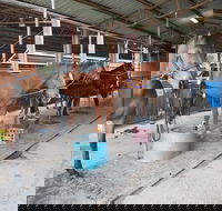 The Equine Club - Accommodation ACT
