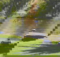 The Lions Junction Park - Tumut - Accommodation ACT