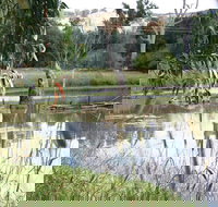 Tumut Wetlands - Accommodation ACT