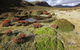 Walls Of Jerusalem National Park - thumb 1