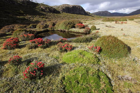 Walls Of Jerusalem National Park - Accommodation ACT 1