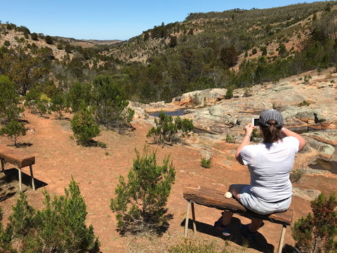 Yeldulknie Conservation Park Hiking Trail - Accommodation ACT 0