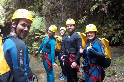 Full-Day Canyoning Experience At Stunning Empress Canyon - Accommodation ACT 2