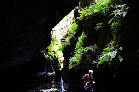 Full-Day Canyoning Experience At Stunning Empress Canyon - Accommodation ACT 6
