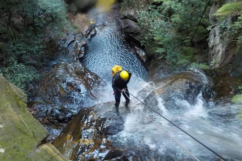 Full-Day Canyoning Experience At Stunning Empress Canyon - Accommodation ACT 4
