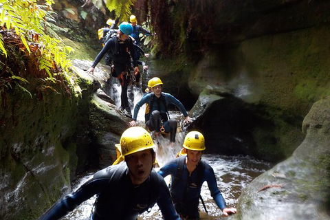 Full-Day Canyoning Experience At Stunning Empress Canyon - Accommodation ACT 7