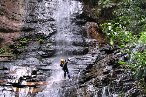 Full-Day Canyoning Experience At Stunning Empress Canyon - Accommodation ACT 0
