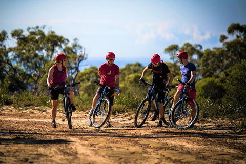 Blue Labyrinth Tour: Sydney Blue Mountains By E-Bike - Accommodation ACT 3