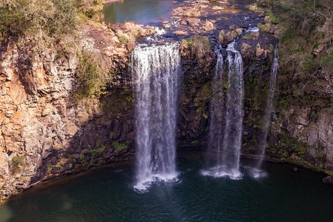Rainforest & Waterfall Experience - Accommodation ACT 1