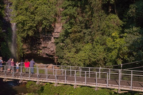 Rainforest & Waterfall Experience - Accommodation ACT 4