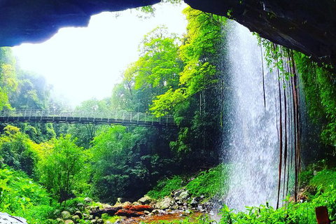 Rainforest & Waterfall Experience - Accommodation ACT 6