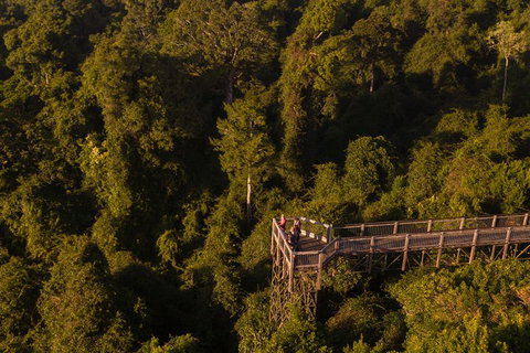 Rainforest & Waterfall Experience - Accommodation ACT 5