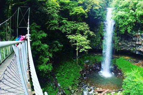 Rainforest & Waterfall Experience - Accommodation ACT 0