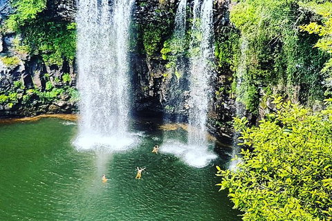 Rainforest & Waterfall Experience - Accommodation ACT 2