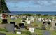 Convict Kingston Tour - thumb 1