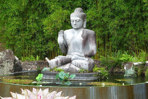 Crystal Castle Shuttle From Byron Bay (full Day) - Accommodation ACT 0