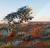 Merton Motor Trail - Accommodation ACT