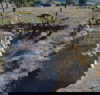 Wangaraleednie Monument  Ruins - Accommodation ACT