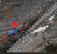 Small-Group Weekend Rock Climbing Adventure from Katoomba - Accommodation ACT