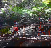 Glow Worm Tunnel Hike - Accommodation ACT